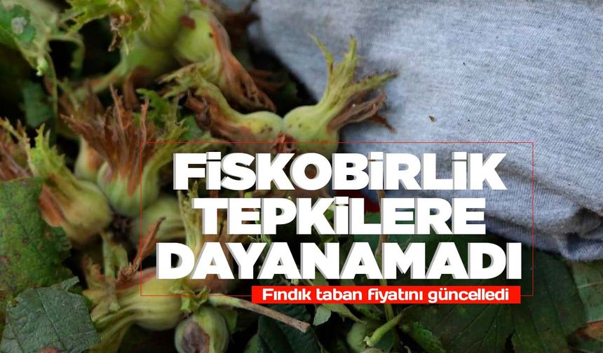 FİSKOBİRLİK fındıkta yeni taban fiyat açıkladı!