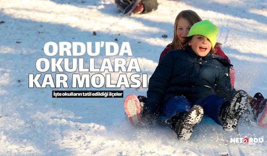 Ordu'da 10 ilçede okullar tatil edildi