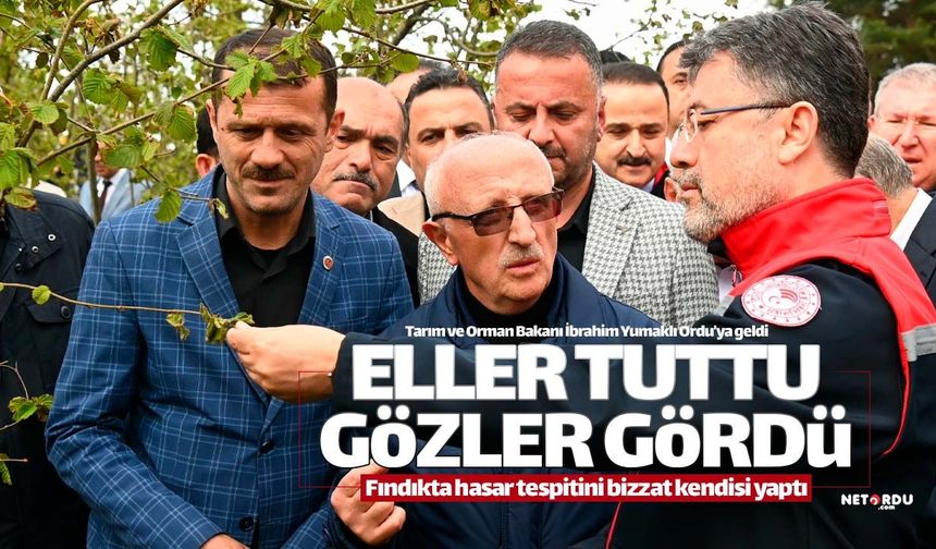 Tarım Bakanı Yumaklı fındıkta zarar tespitini bizzat yaptı