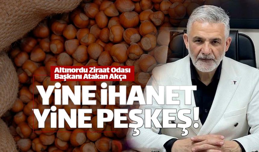 TMO fındık satışıyla yine ortalığı karıştırdı
