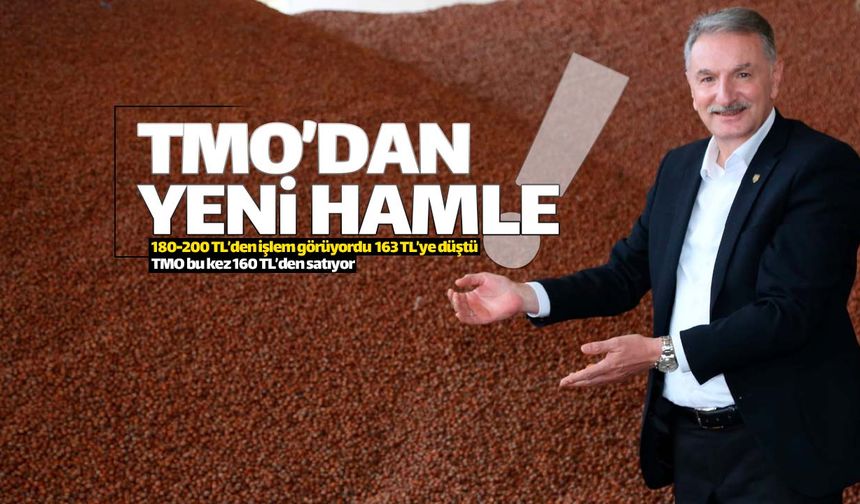 TMO'dan yeni bir 'fındık' hamlesi geldi!