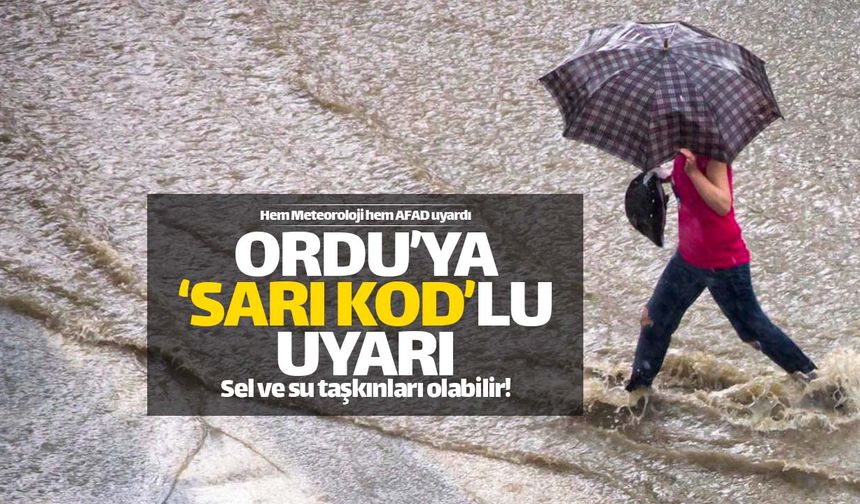 Ordu, Giresun ve Trabzon'a 'sarı' kodlu uyarı