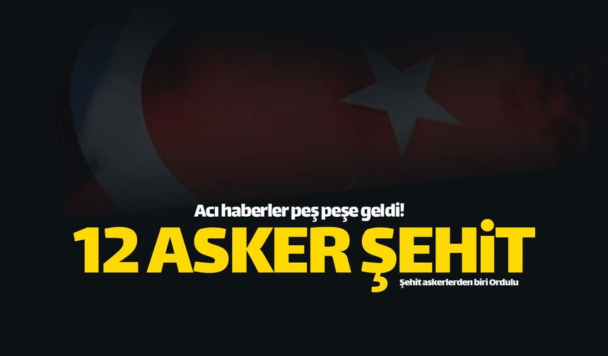12 askerimiz şehit düştü!