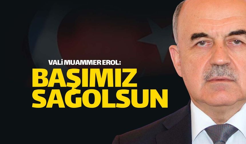 Ordu Valisi Erol'dan 'Başsağlığı' mesajı