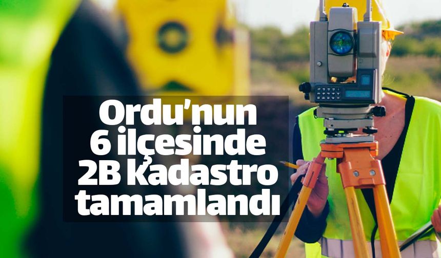 Ordu'nun 6 ilçesi 46 mahallesinde kadastro tamam
