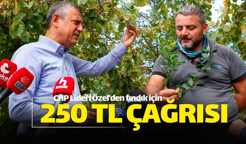 CHP Lideri'nden 250 TL'lik fındık fiyatı çağrısı