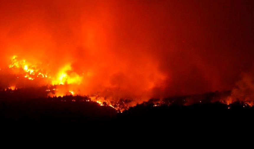 Sakarya, Bilecik ve Eskişehir'de ormanlar yanıyor