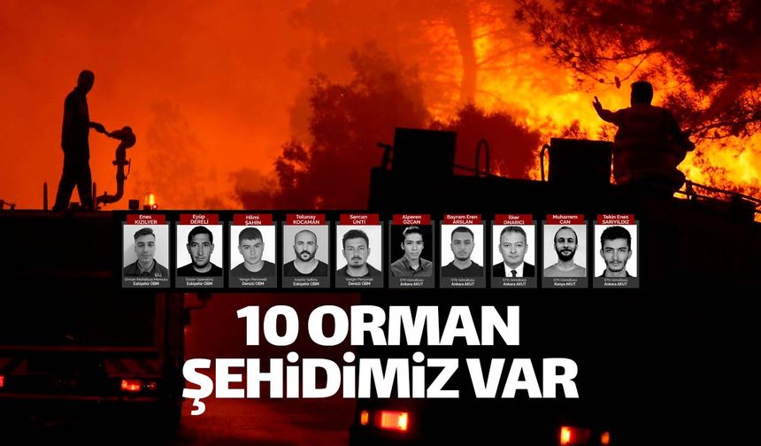 Orman yangınlarında 10 canımız gitti