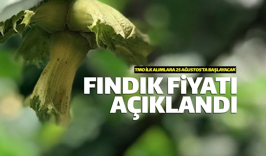 Tarım Bakanlığı fındık taban fiyatlarını açıkladı