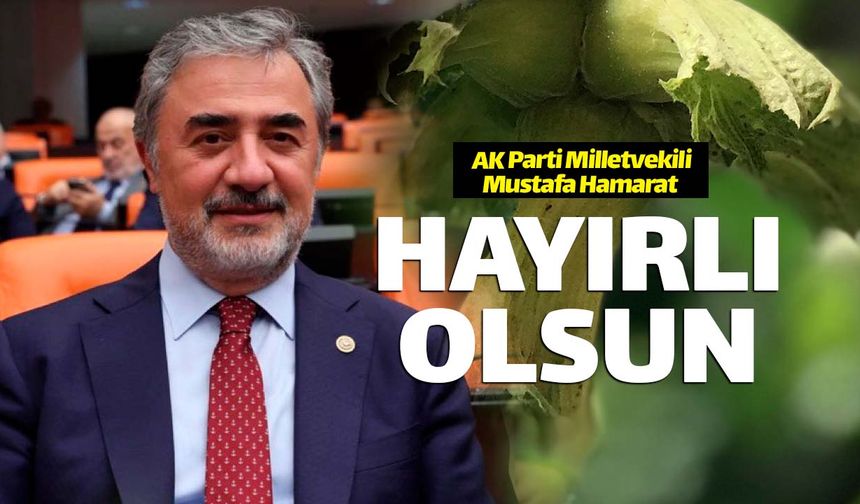 AK Partili Mustafa Hamarat: "Hayırlı olsun" dedi