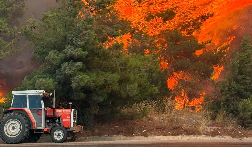 Çanakkale  bir kez daha alevlere teslim oldu