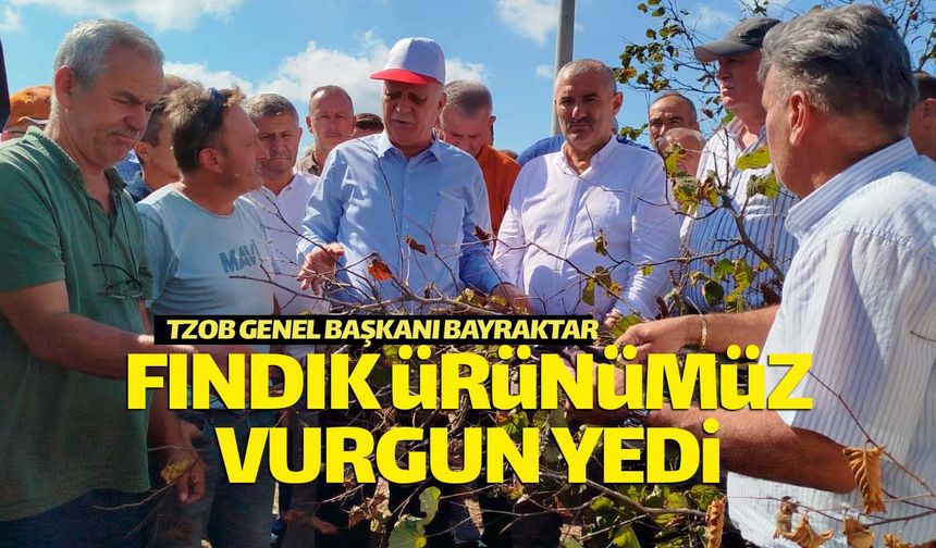 TZOB Başkanı Bayraktar: "Fındık vurgun yedi"