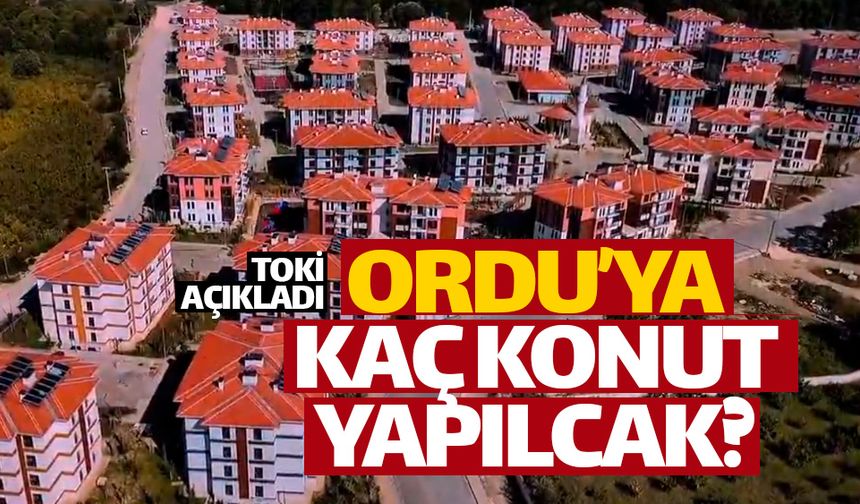 Ordu'da hangi ilçelere kaç konut yapacak?