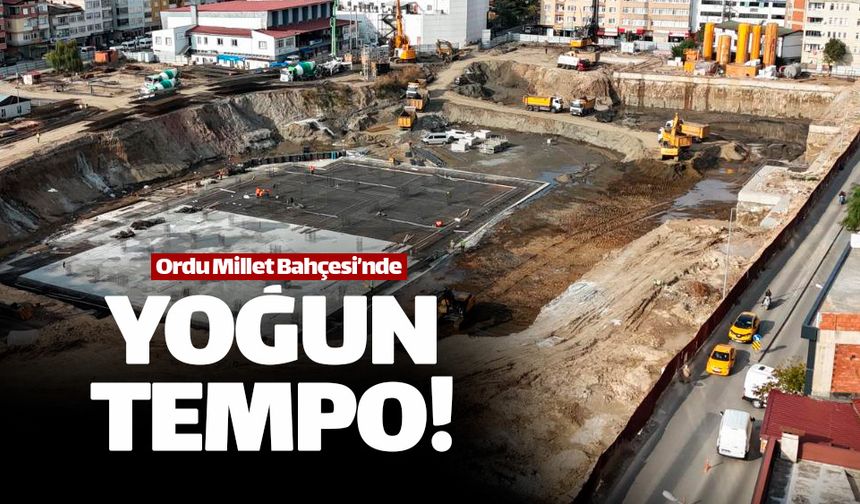 Ordu Millet Bahçesi'nde yoğun tempo sürüyor