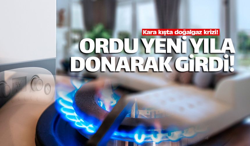 Ordulular yeni yıla kara kışta donarak girdi