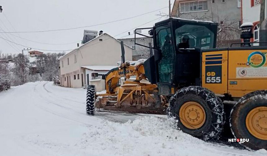 Ordu'da kar nedeniyle 16 ilçede okullar tatil edildi