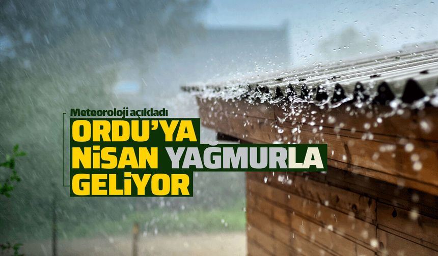 Meteoroloji'den Ordu için yağış uyarısı