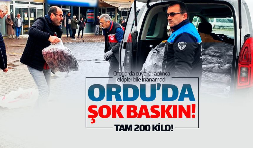 ORDU'DA 200 KİLO KAÇAK ETE EL KONULDU