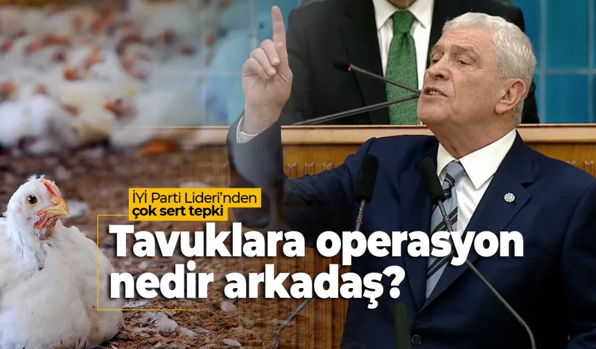 Dervişoğlu'ndan tavuk eti sektörü operasyonuna sert tepki
