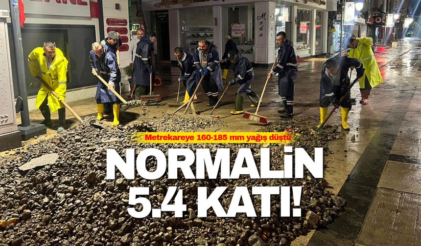 Fatsa'da Yüzyılın Afeti: Ağustos Normallerinin 5,4 Katı Yağış Düştü