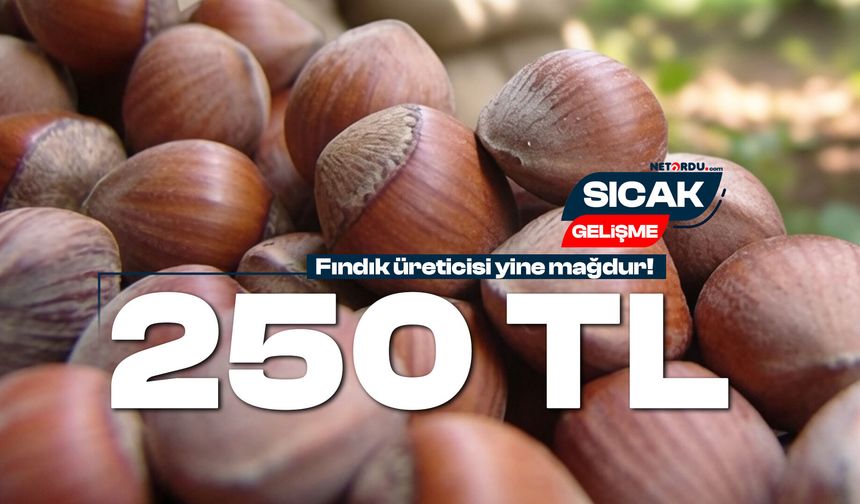 TMO 2026 ürünü fındık fiyatlarını açıkladı