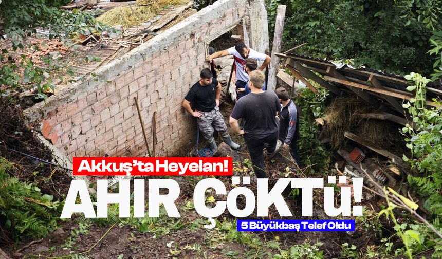 Ordu'da Heyelan: Ahır Çöktü!