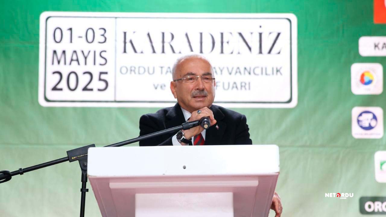 020525 1D