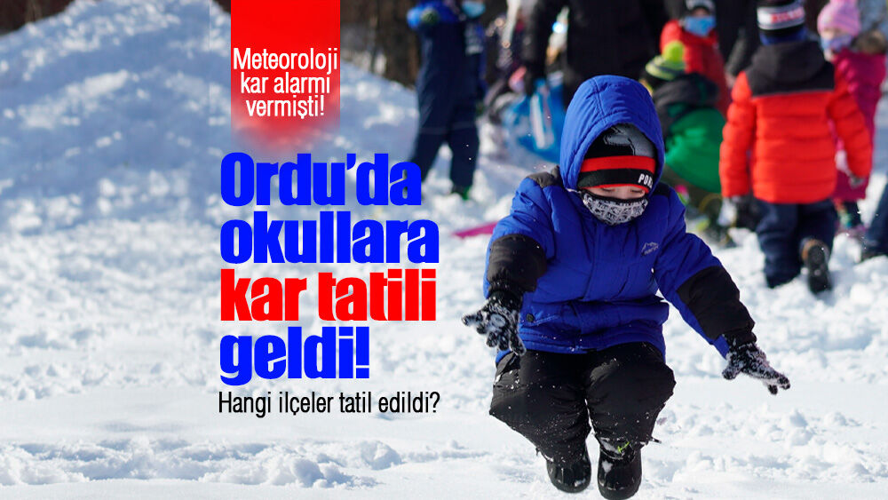 Ordu'da bazı ilçelerde okullara kar tatili!