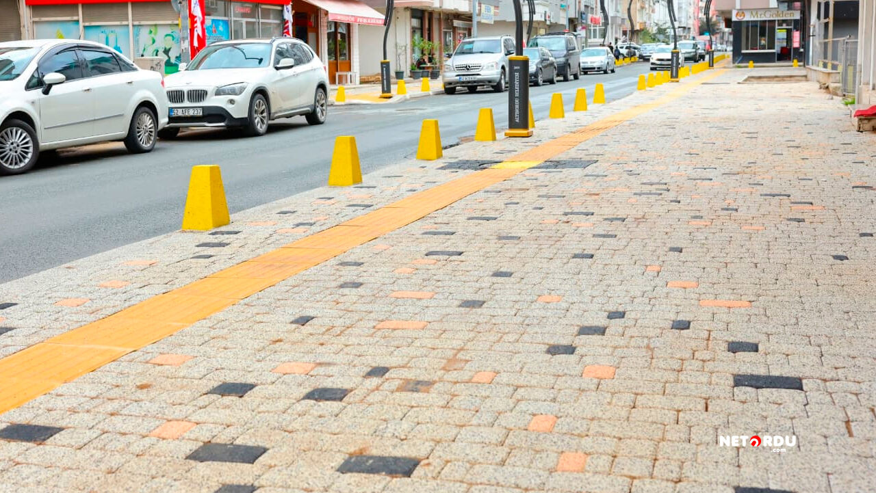 Altınordu Belediye Başkanı Ulaş Tepe 4B