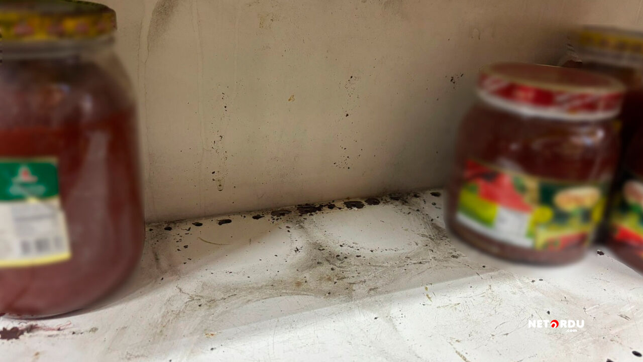 Altınordu Belediye Başkanı Ulaş Tepe 5F