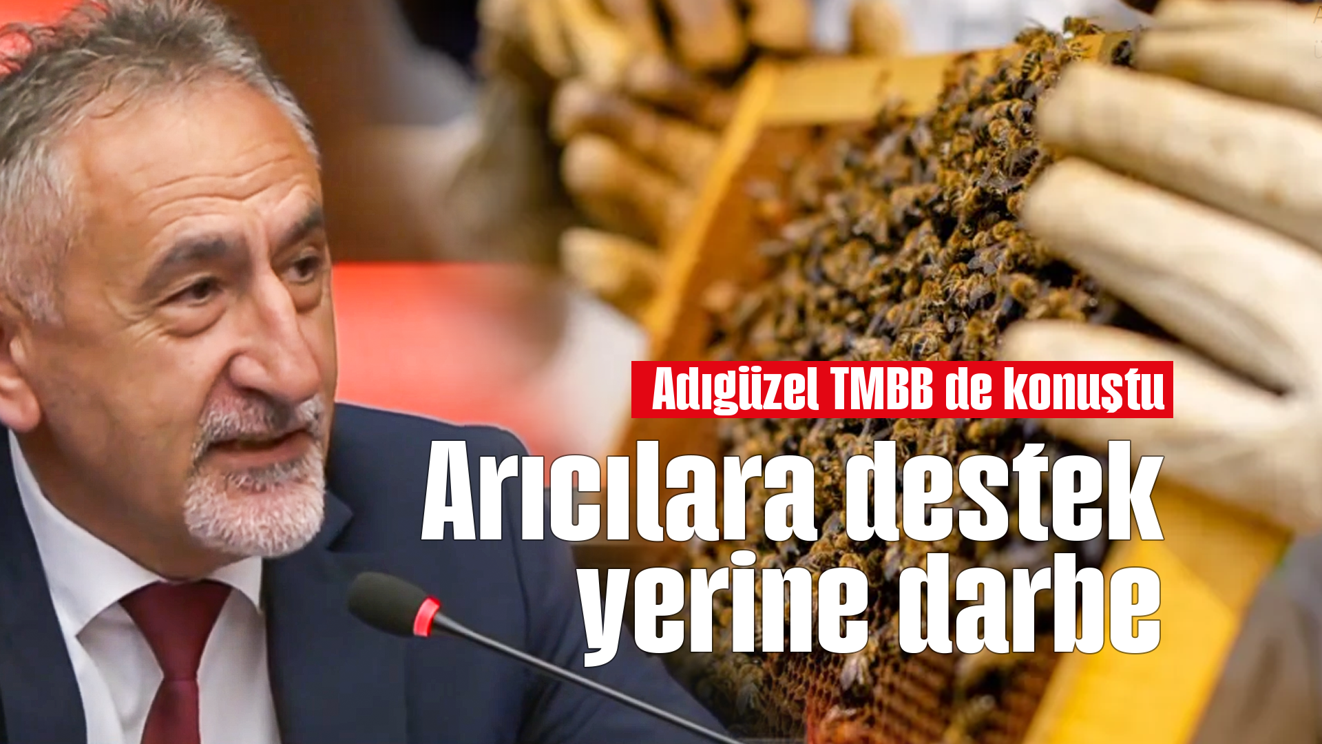 CHP'li Adıgüzel'den arıcılara destek çağrısı