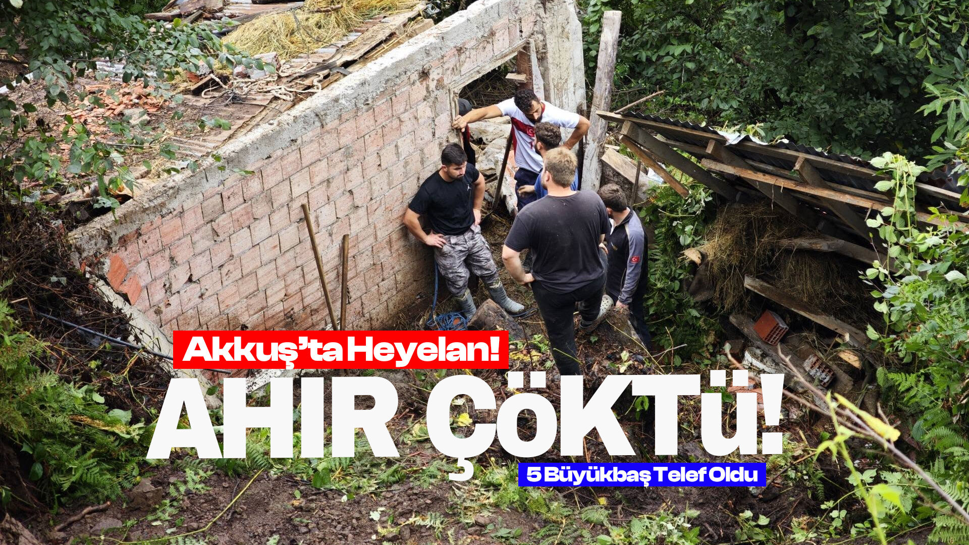 Ordu'daki heyelanda ahır çöktü!