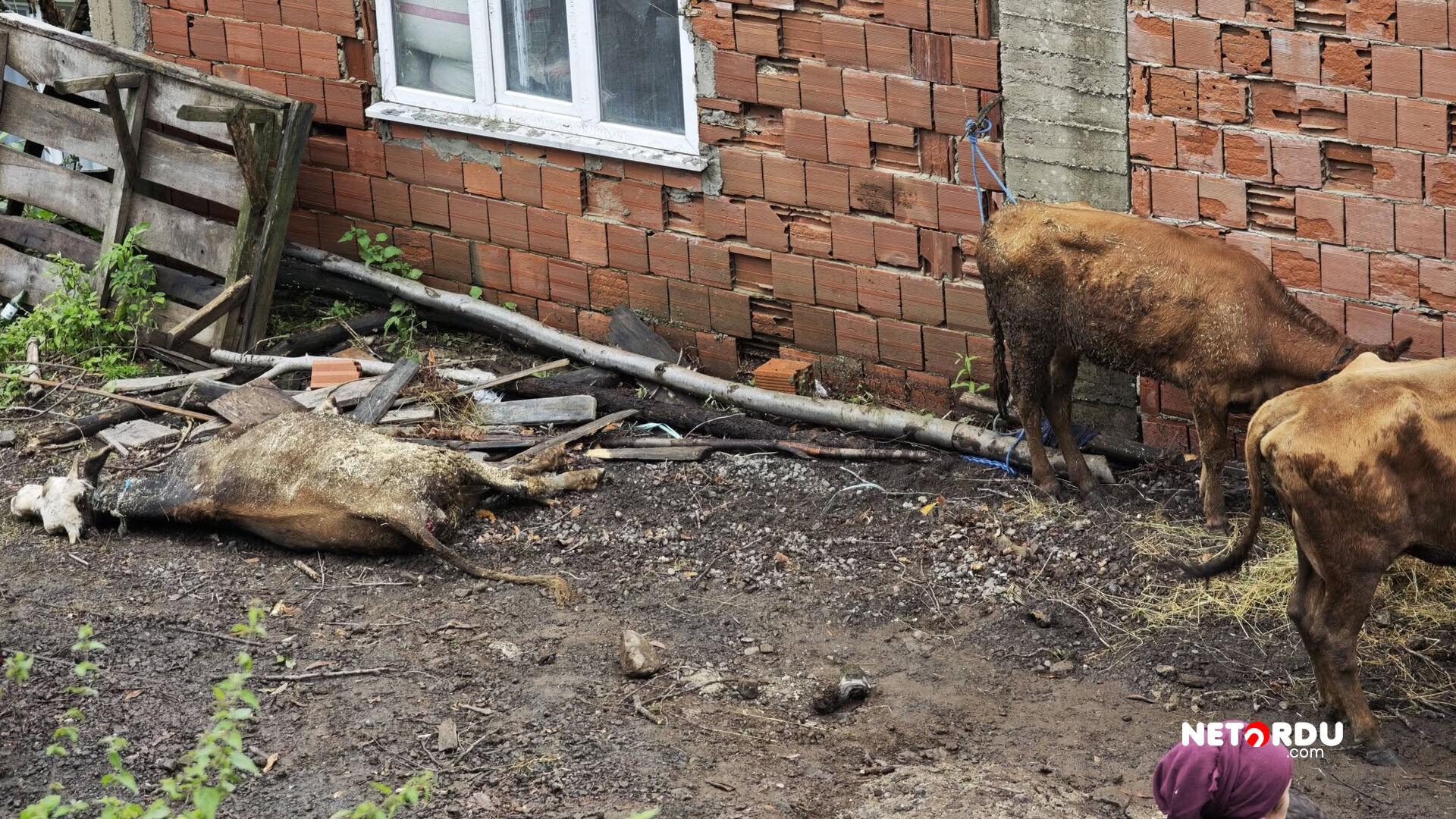 Orduda Heyelan Ahir Coktu 04