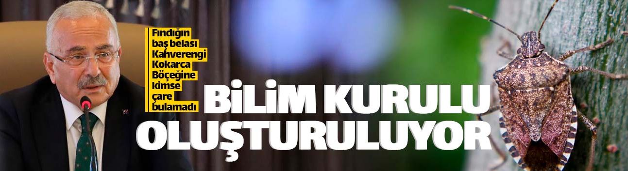 Kahverengi Kokarca için Bilim Kurulu oluşturuluyor