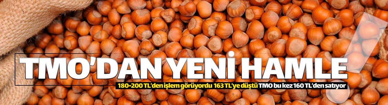 TMO'dan yeni bir 'fındık' hamlesi geldi!