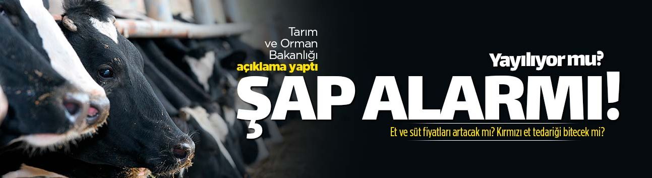 Tarım ve Orman Bakanlığı'ndan 'şap hastalığı' açıklaması