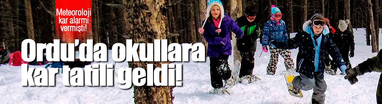 Ordu'da bazı ilçelerde okullara kar tatili!