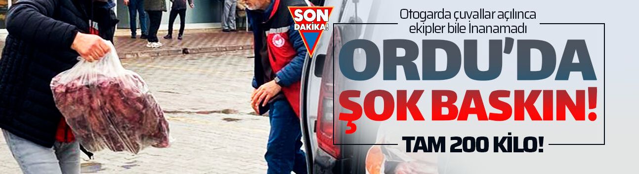 Ordu'da şok baskın! Tam 200 kilo geldi!