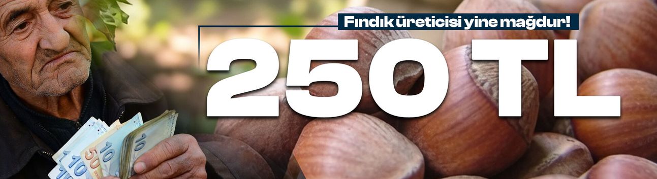 TMO 2026 ürünü fındık fiyatlarını açıkladı