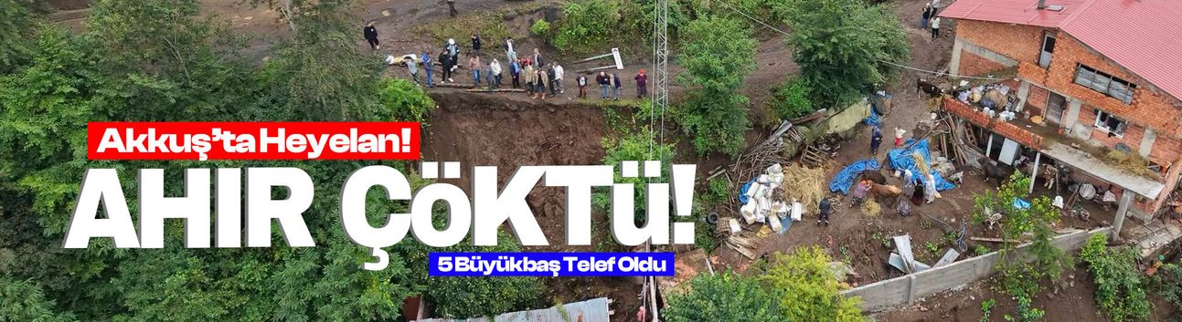 Ordu'daki heyelanda ahır çöktü!